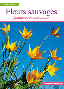 FLEURS SAUVAGES / FAMILIERES ET MECONNUES