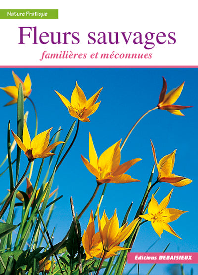 FLEURS SAUVAGES / FAMILIERES ET MECONNUES