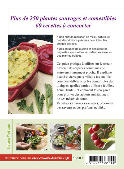 PLANTES COMESTIBLES : cueillette et recettes des 4 saisons