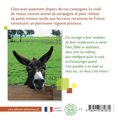 L'âne dans tous ses états