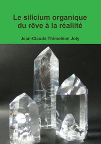 Le silicium organique du rêve à la réalité