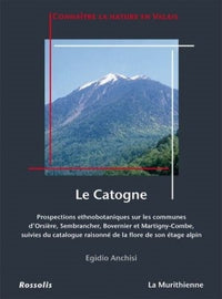 Catogne