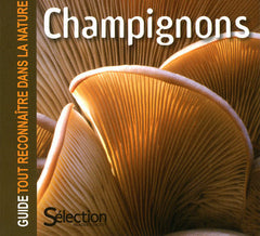 Champignons - Guide tout reconnaître dans la nature