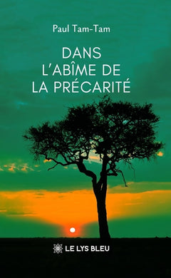 Dans l'abîme de la précarité
