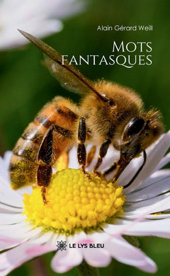 Mots fantasques