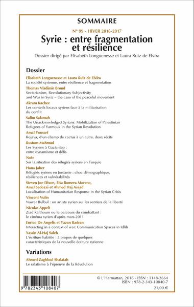 Syrie : entre fragmentation et résilience