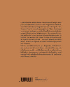 Chroniques des butineurs du jardin