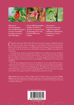 Baies et fruits sauvages de France métropolitaine