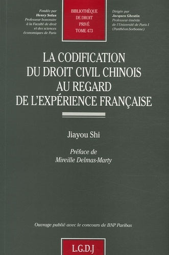 La codification du droit civil chinois au regard de l'expérience française
