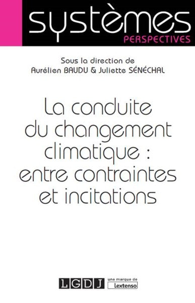 La conduite du changement climatique : entre contraintes et incitations