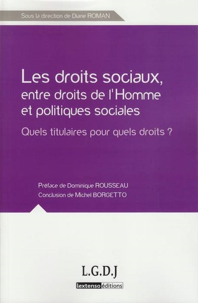 Les droits sociaux, entre droits de l'homme et politiques sociales