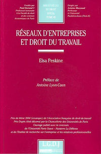 Réseaux d'entreprise en droit du travail