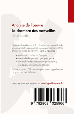 La chambre des merveilles de Julien Sandrel (Analyse de l'oeuvre)