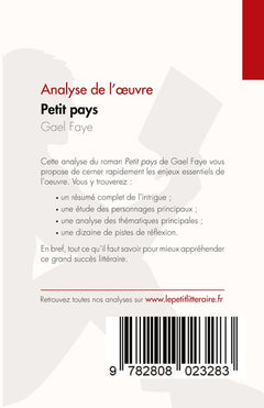 Petit pays de Gael Faye (Analyse de l'oeuvre)