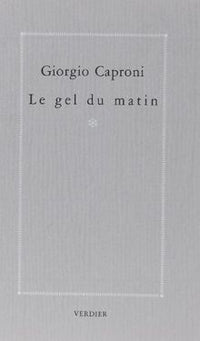 Le gel du matin