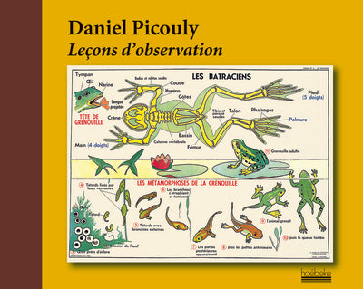 Leçons d'observation