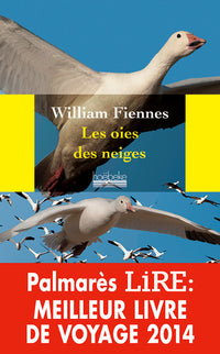 Les oies des neiges
