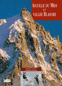 Aiguille du Midi et Vallée Blanche
