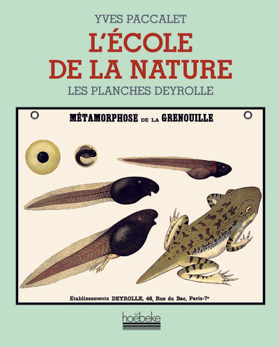 L'école de la nature