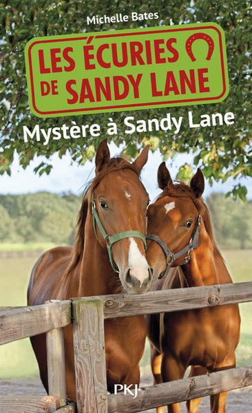 Mystère à Sandy Lane