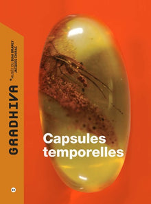 Capsules temporelles