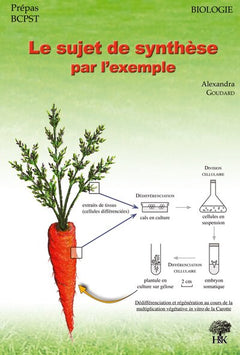 Le sujet de synthèse par l'exemple: biologie