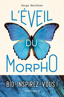 L'éveil du Morpho