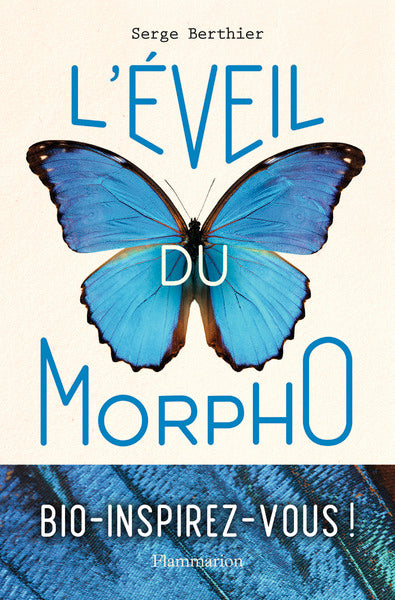 L'éveil du Morpho