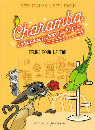 Charamba, hôtel pour chats - Félins pour l'autre