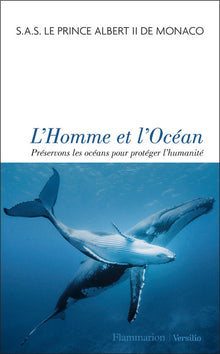 L'homme et l'océan