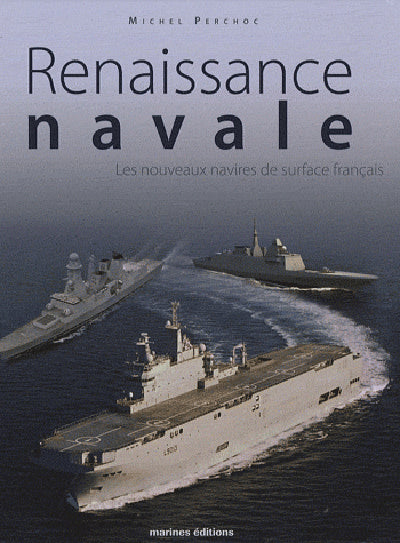 Renaissance navale. Les nouveaux navires de surface