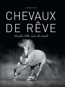 Chevaux de rêves