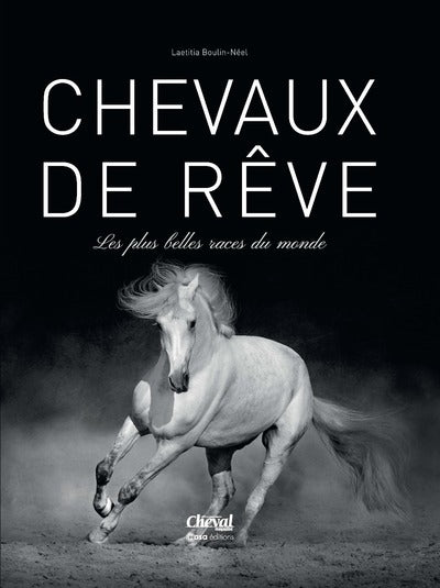 Chevaux de rêves
