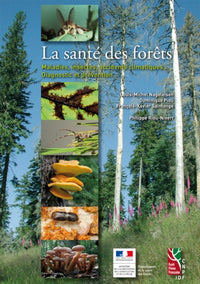 La santé des forêts