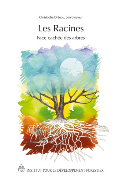 Les racines : Face cachée des arbres