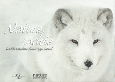 Nature cachée - L'art du mimétisme dans le règne animal