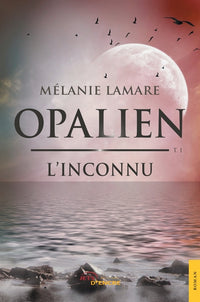 L'inconnu