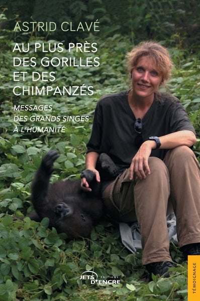 Au plus près des gorilles et des chimpanzés