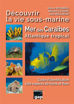 Découvrir la vie sous-marine