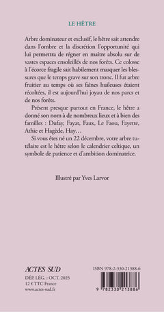 Le hêtre