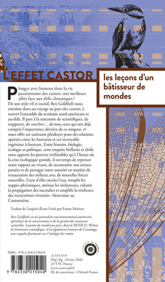 L'effet castor