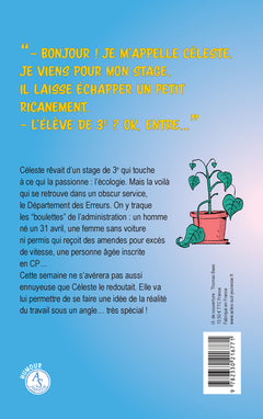 Mon stage en pagaille