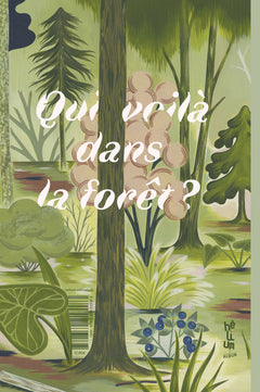 Qui voit là ?