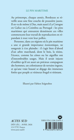 Le Pin maritime