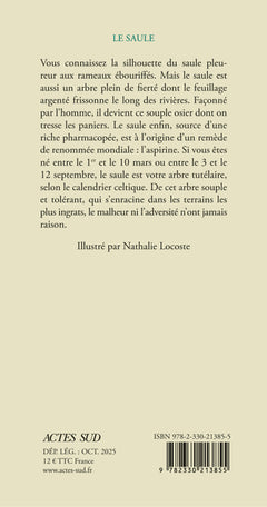 Le saule
