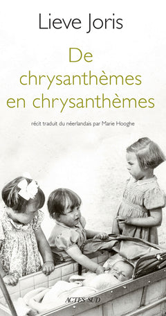 De chrysanthèmes en chrysanthèmes
