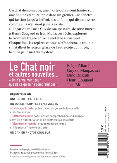 Bibliocollège - Le Chat noir et autres nouvelles