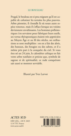 Le bouleau