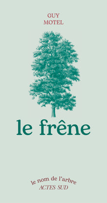 Le frêne