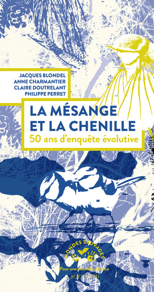 La mésange et la chenille